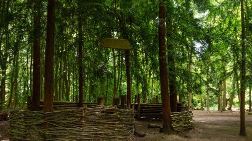 Clive's Play Den in the Woodlands